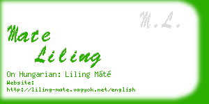 mate liling business card